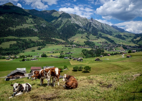 La charte du Parc naturel régional Gruyère Pays-d’Enhaut doit être renouvelée